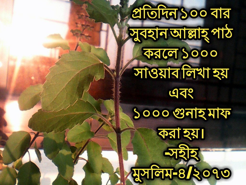 Bangla Islamic - 1024x768 Wallpaper Bangla Islamic - 1024x768 Wallpaper