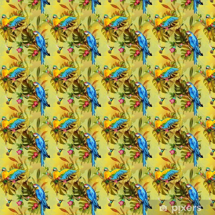 Macaw - HD Wallpaper 