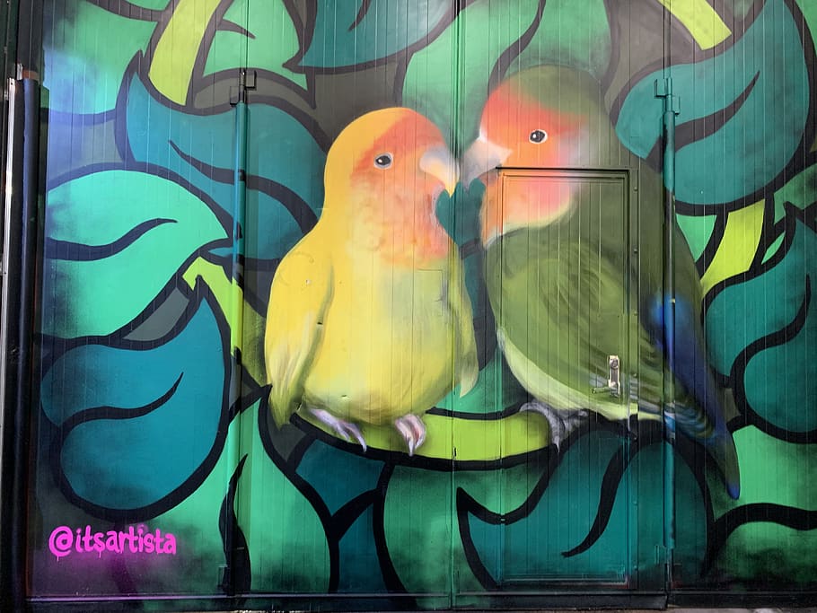 Art, Stockholm, Sweden, Animal, Bird, Modern Art, Painting, - Budgie - HD Wallpaper 