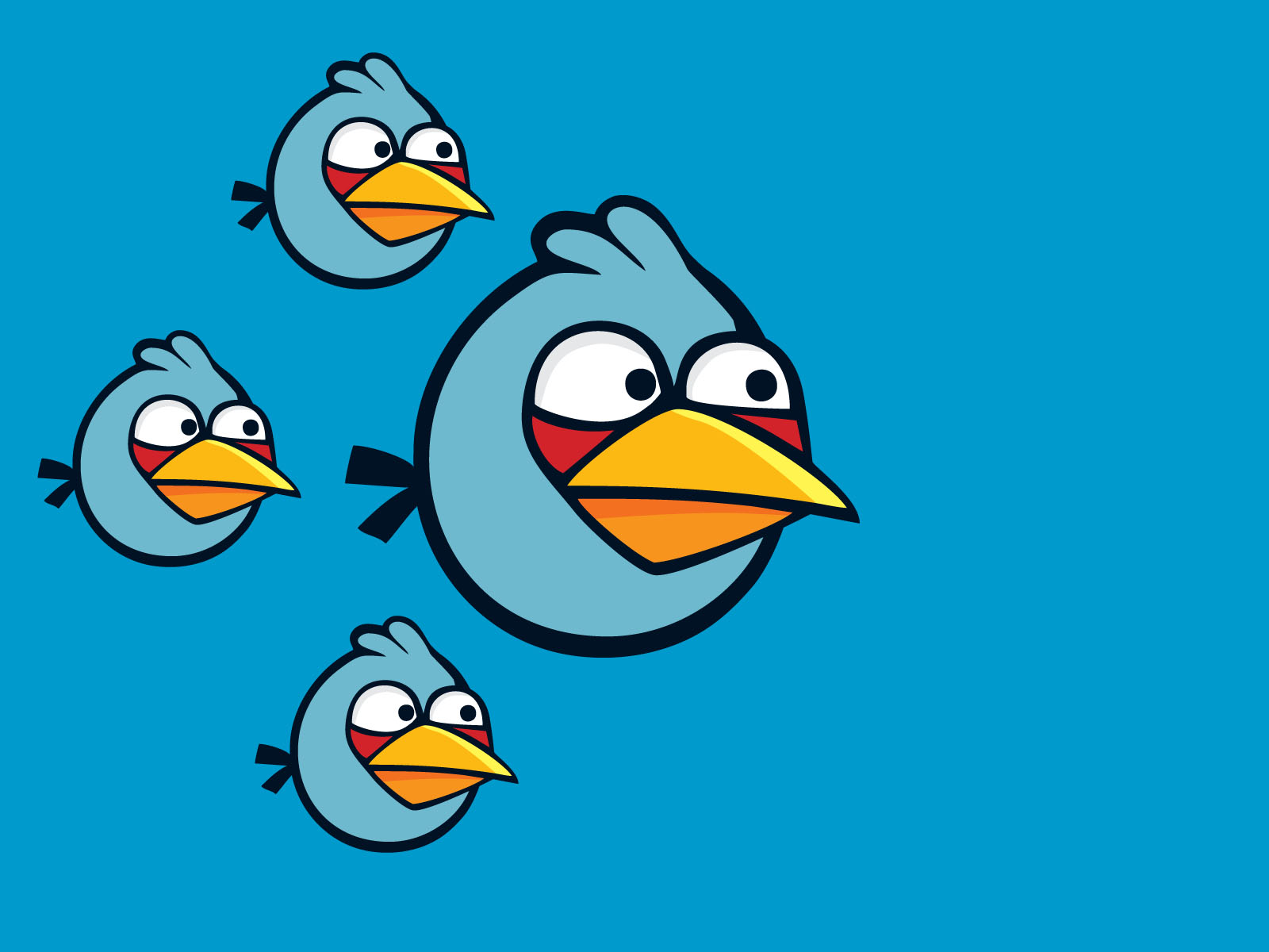 Blue Angry Bird Wallpaper - HD Wallpaper 
