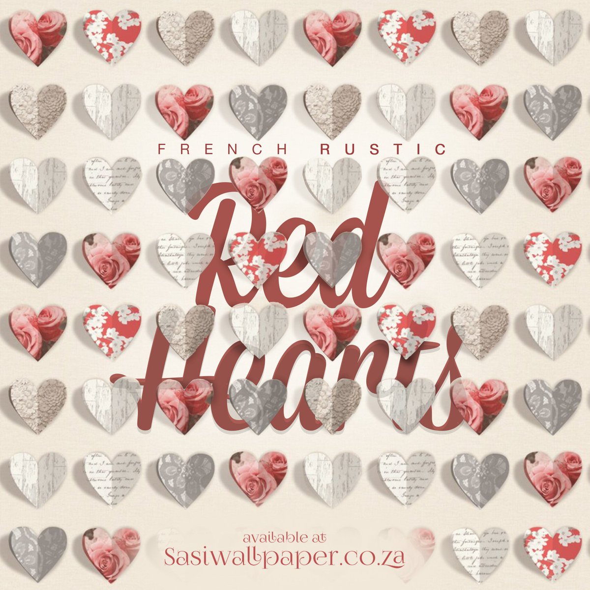 3d Parrot Wall Stickers - HD Wallpaper 