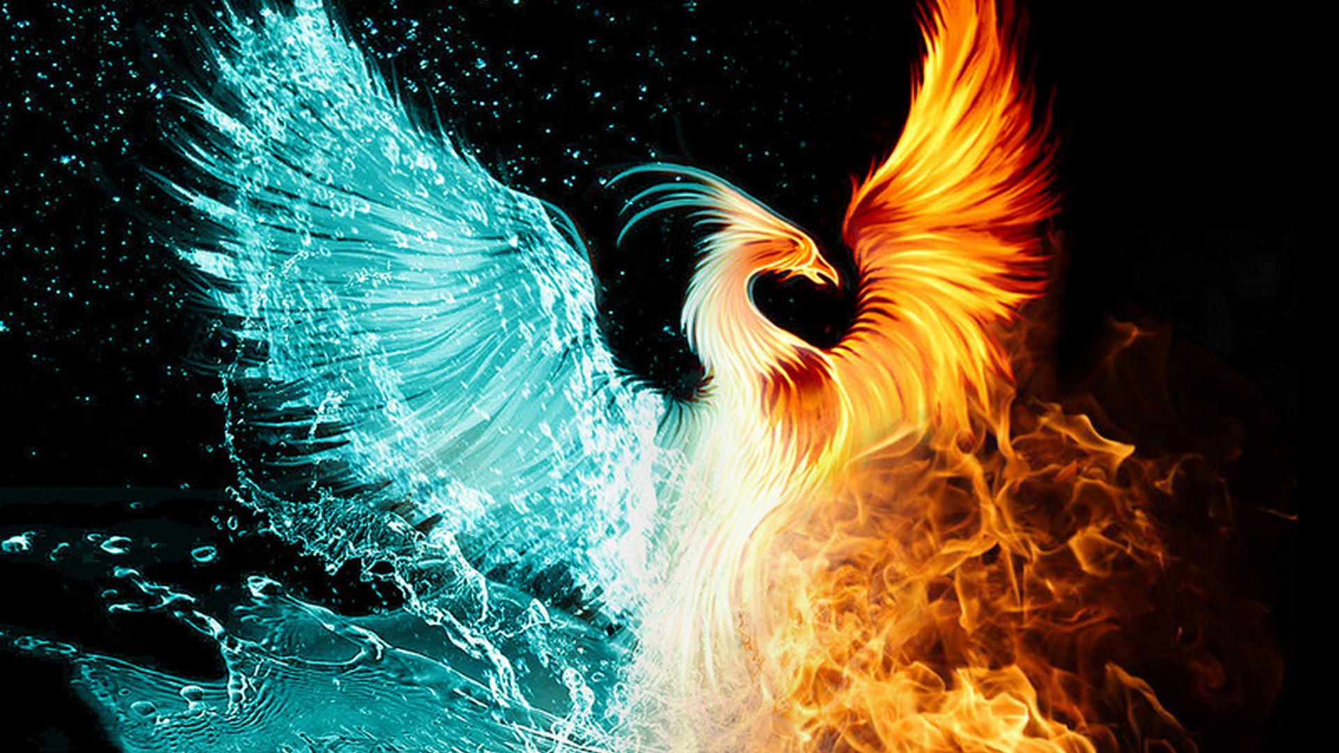 Fire Phoenix - HD Wallpaper 