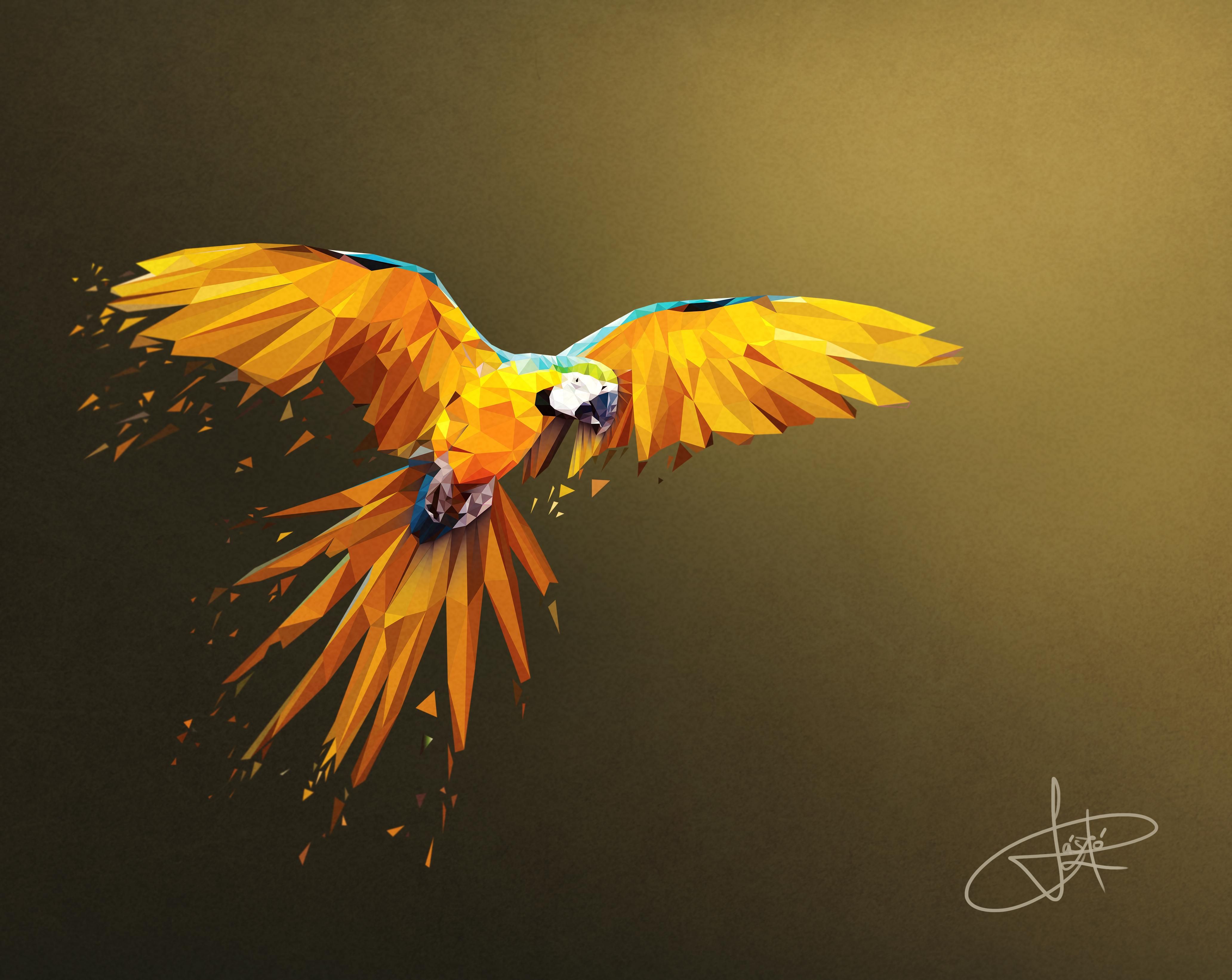 Low Poly Art Parrot - HD Wallpaper 