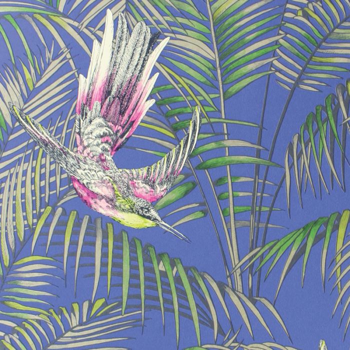 Osborne & Little Sunbird - HD Wallpaper 