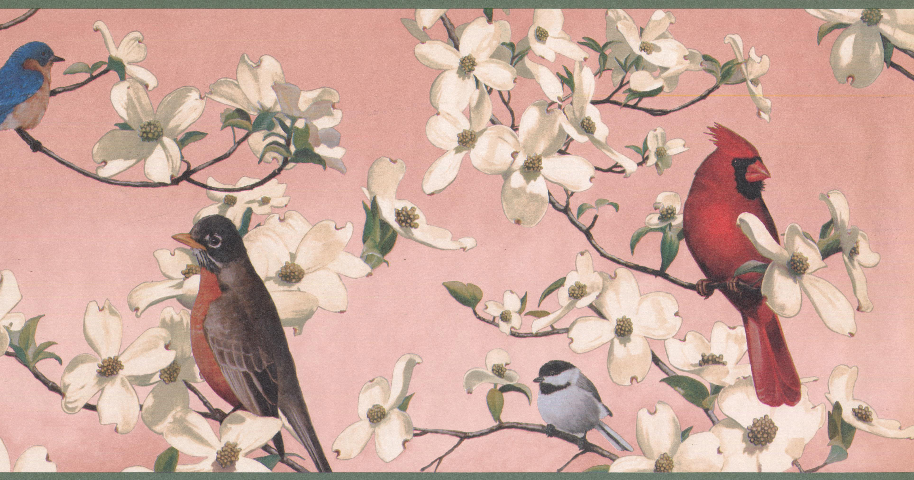 Northern Cardinal - HD Wallpaper 