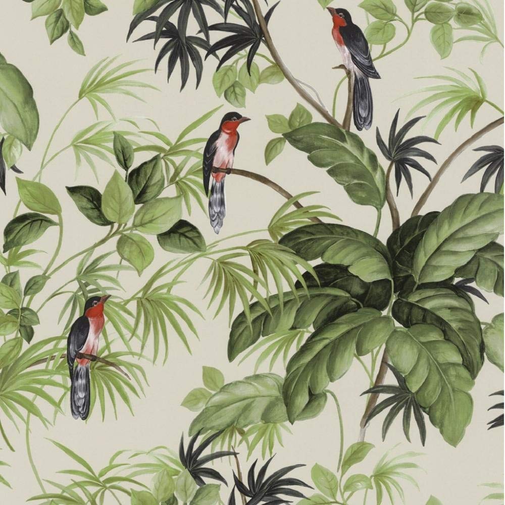 Papier Peint Anglais Oiseaux - HD Wallpaper 