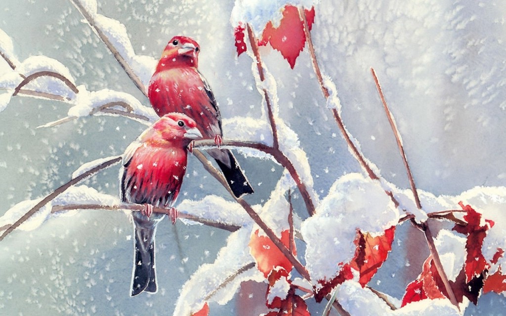 Beautiful Birds Wallpapers Hd Pictures One Hd Wallpaper - Beautiful Birds Wallpaper Hd - 1024x640 Wallpaper Beautiful Birds Wallpapers Hd Pictures One Hd Wallpaper - Beautiful Birds Wallpaper Hd - 1024x640 Wallpaper