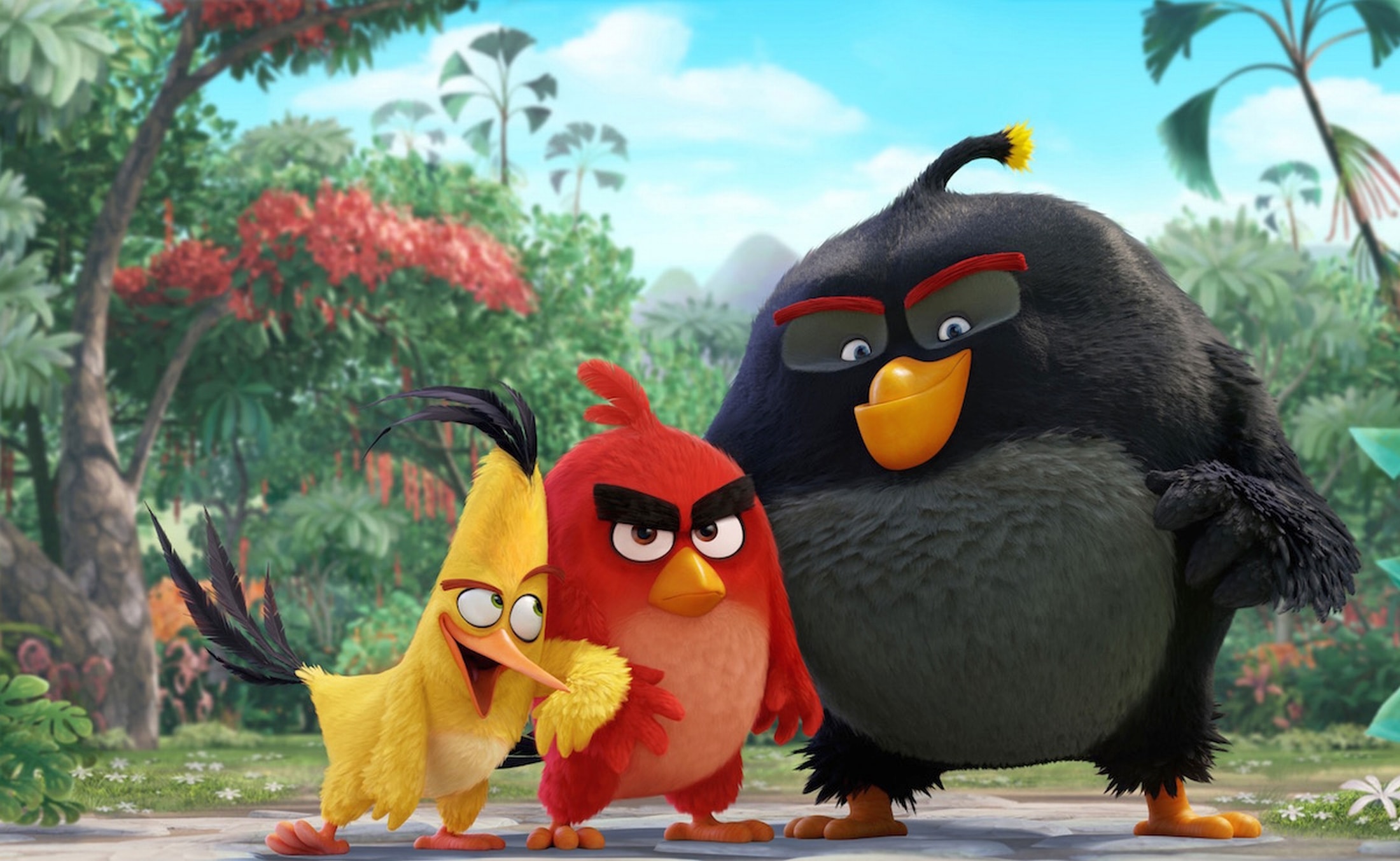 The Angry Birds Movie Widescreen Wallpapers - HD Wallpaper 
