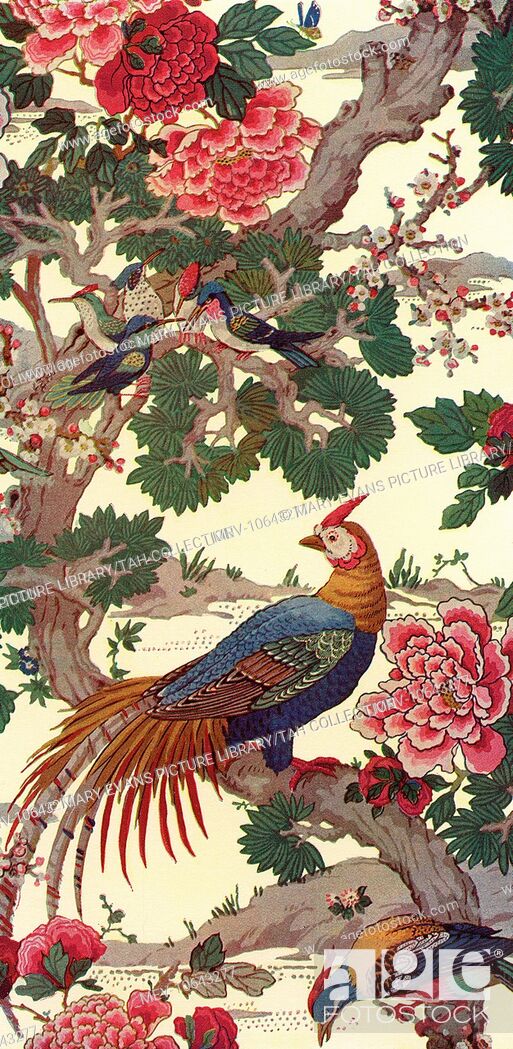 Wallpaper Design Depicting Exotic Birds On Branch - Peafowl - HD Wallpaper 