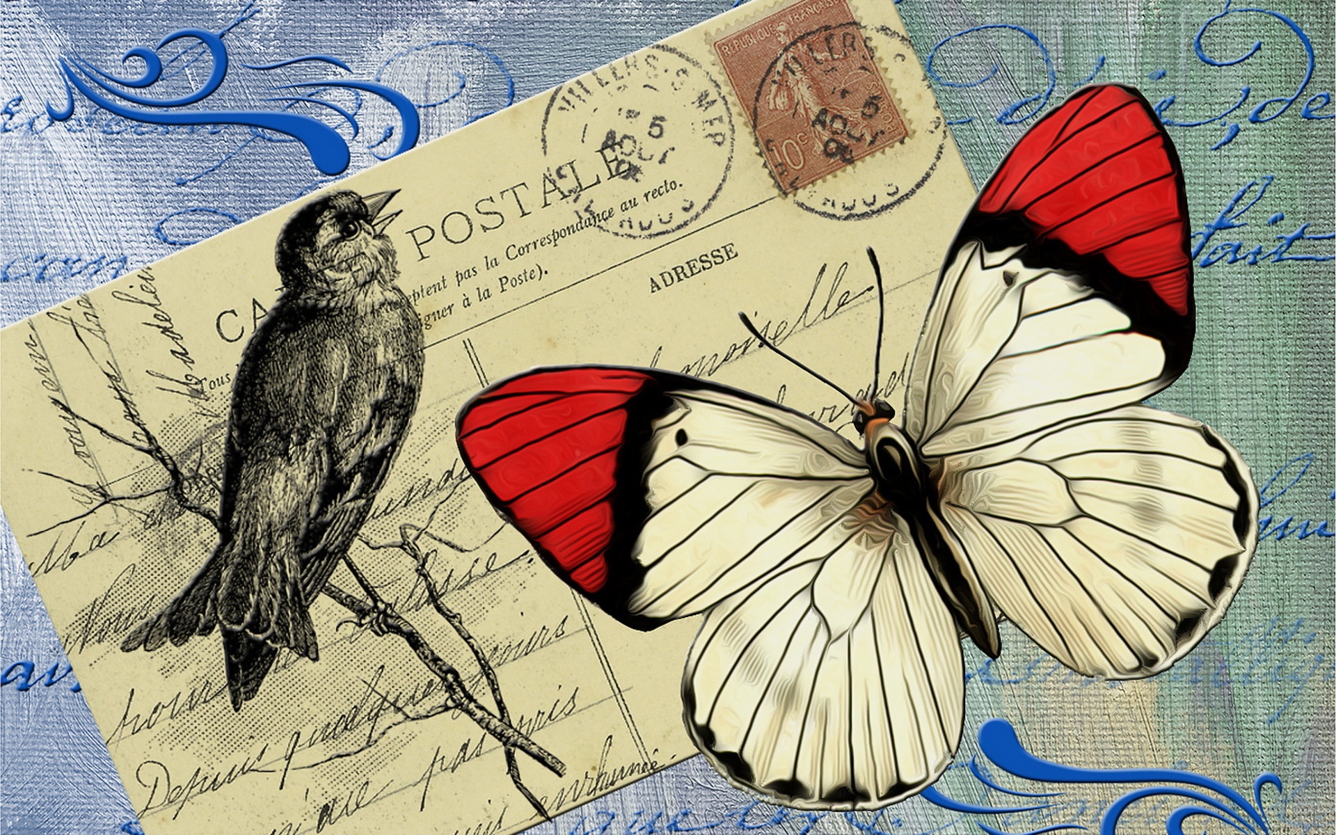 Wallpaper Postcard, Butterfly, Bird - Fondos De Pantallas Postales - HD Wallpaper 