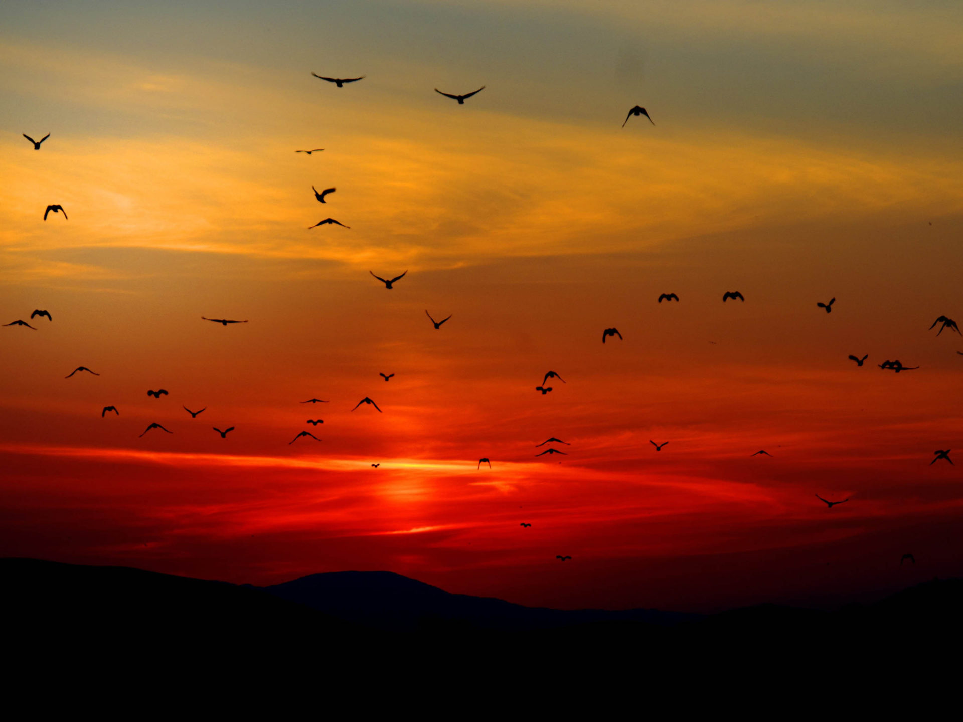 Twilight Sky Hd - HD Wallpaper 