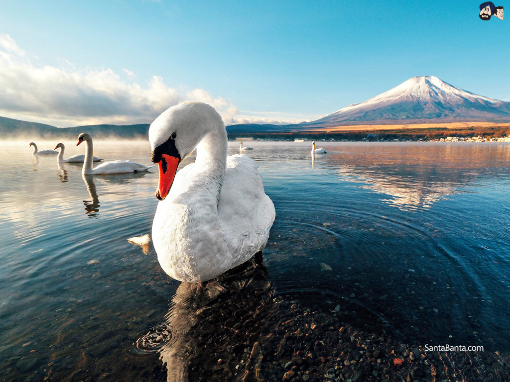 Beautiful Full Hd Nature - HD Wallpaper 