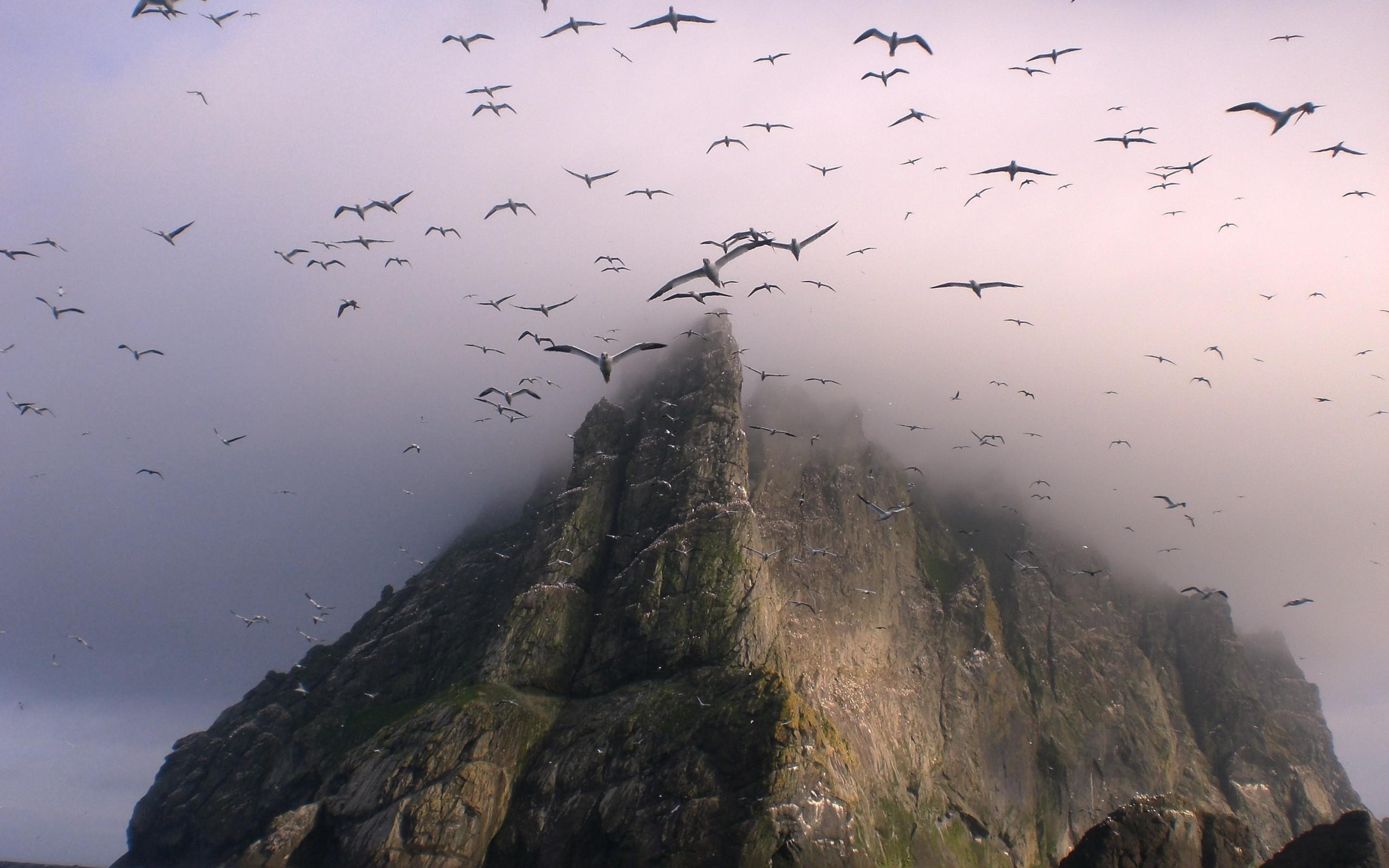 Hd Mountains Nature Birds Fog For Desktop Wallpaper - Uninhabited Island In The Atlantic - HD Wallpaper 