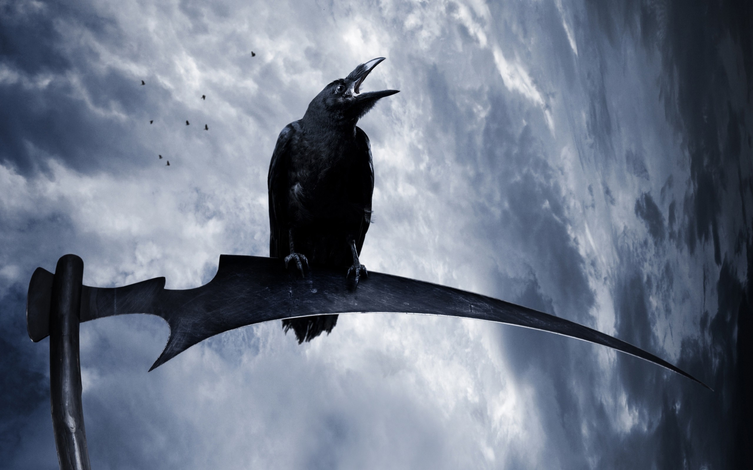 Grim Reaper And Crow - HD Wallpaper 
