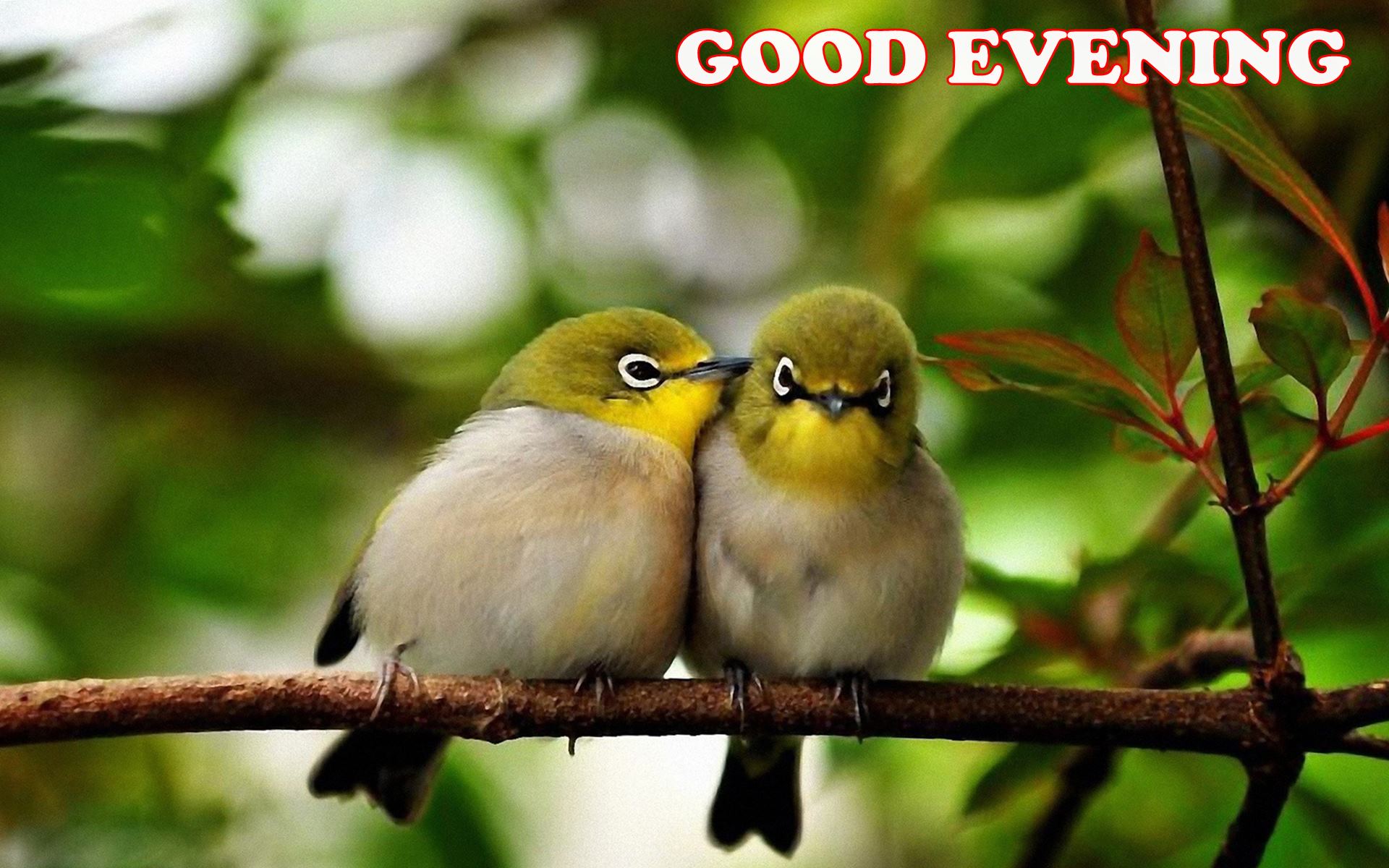 Deals Gap, Motorcyle Resort - HD Wallpaper 