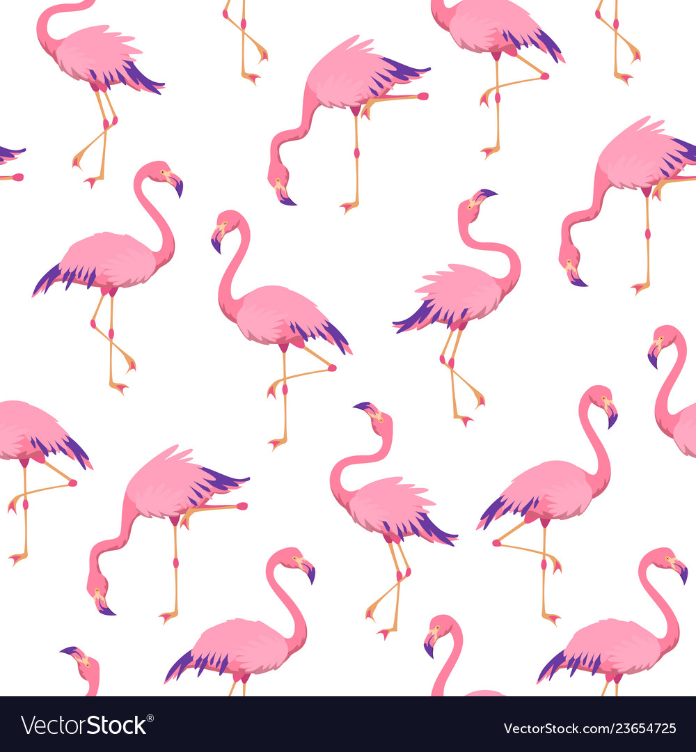 Pink Flamingos - HD Wallpaper 