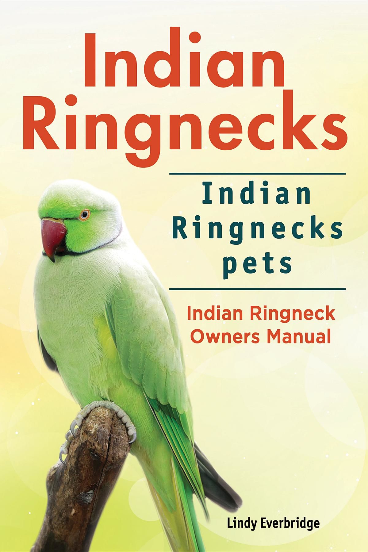 Indian Ringneck Parakeet Love - HD Wallpaper 