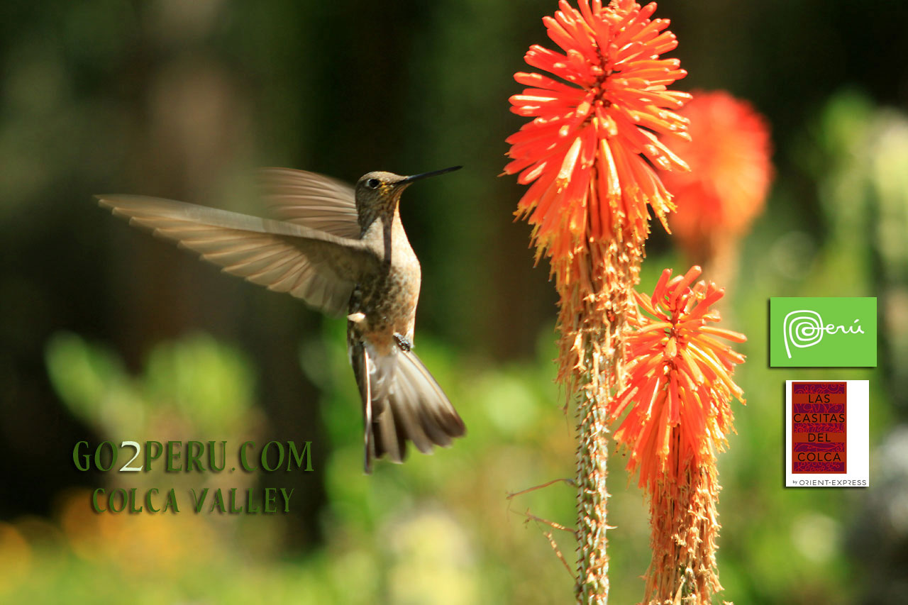 Turismo Peru - HD Wallpaper 