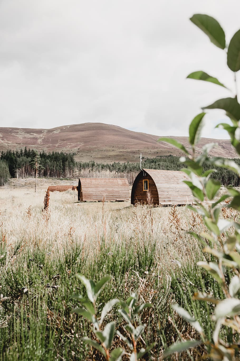 Bard Houses On Open Field, Scotland, Mountain, Countryside, - Grass - HD Wallpaper 