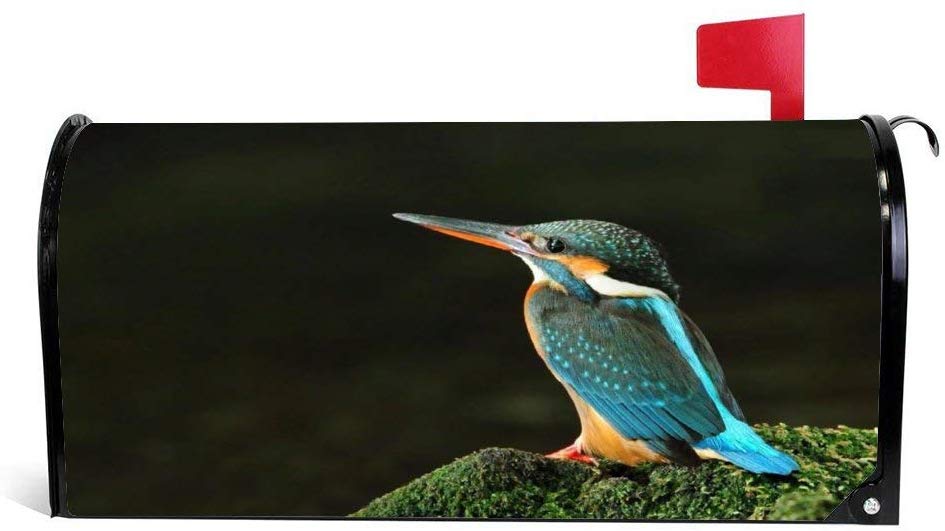 Nrip Meaning In Hindi - HD Wallpaper 