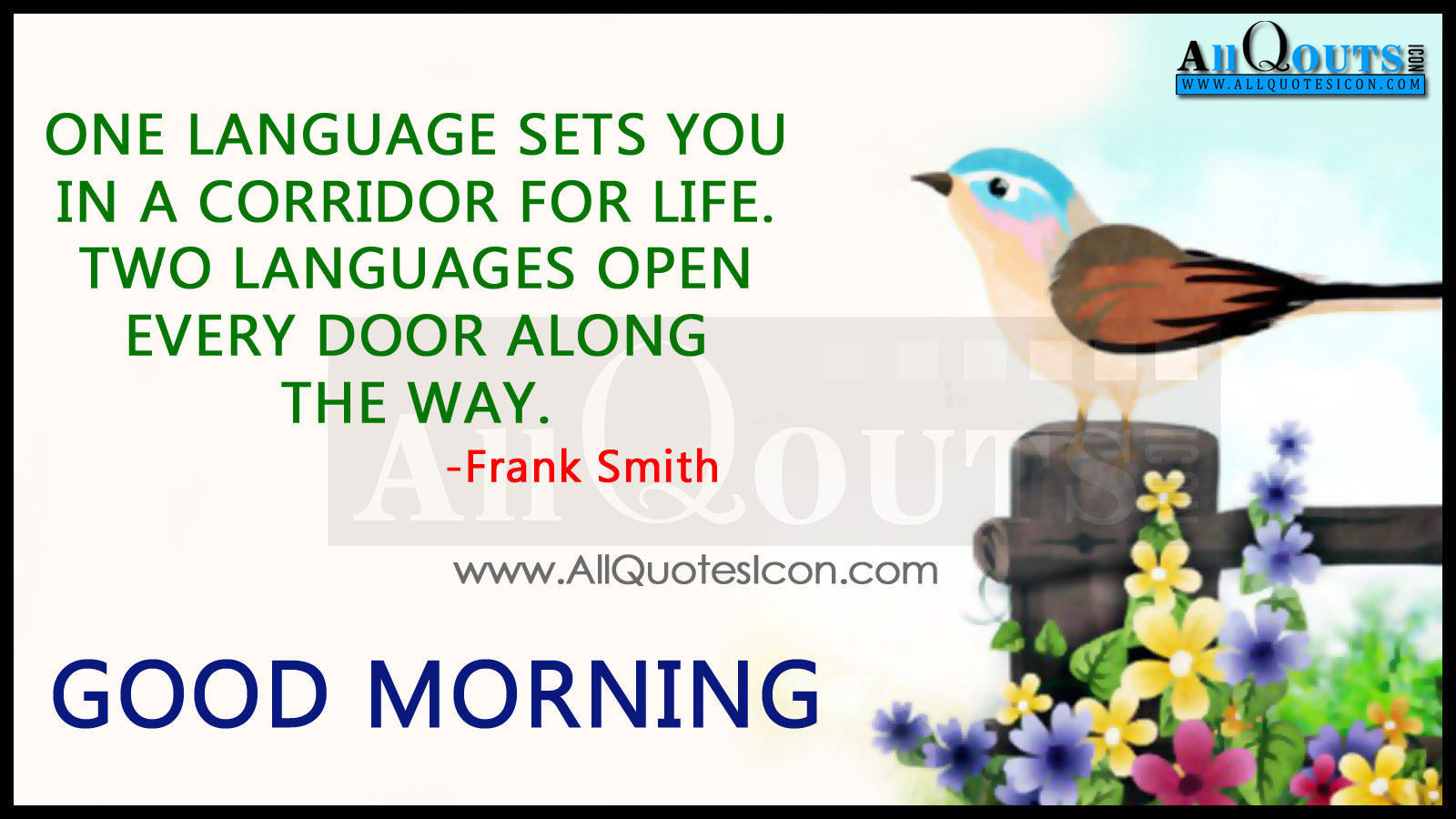 Certified For Windows Vista - HD Wallpaper 