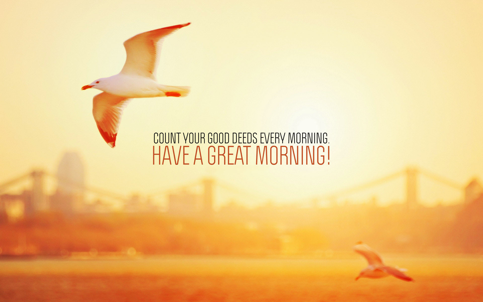 Have A Great Day Hd - HD Wallpaper 