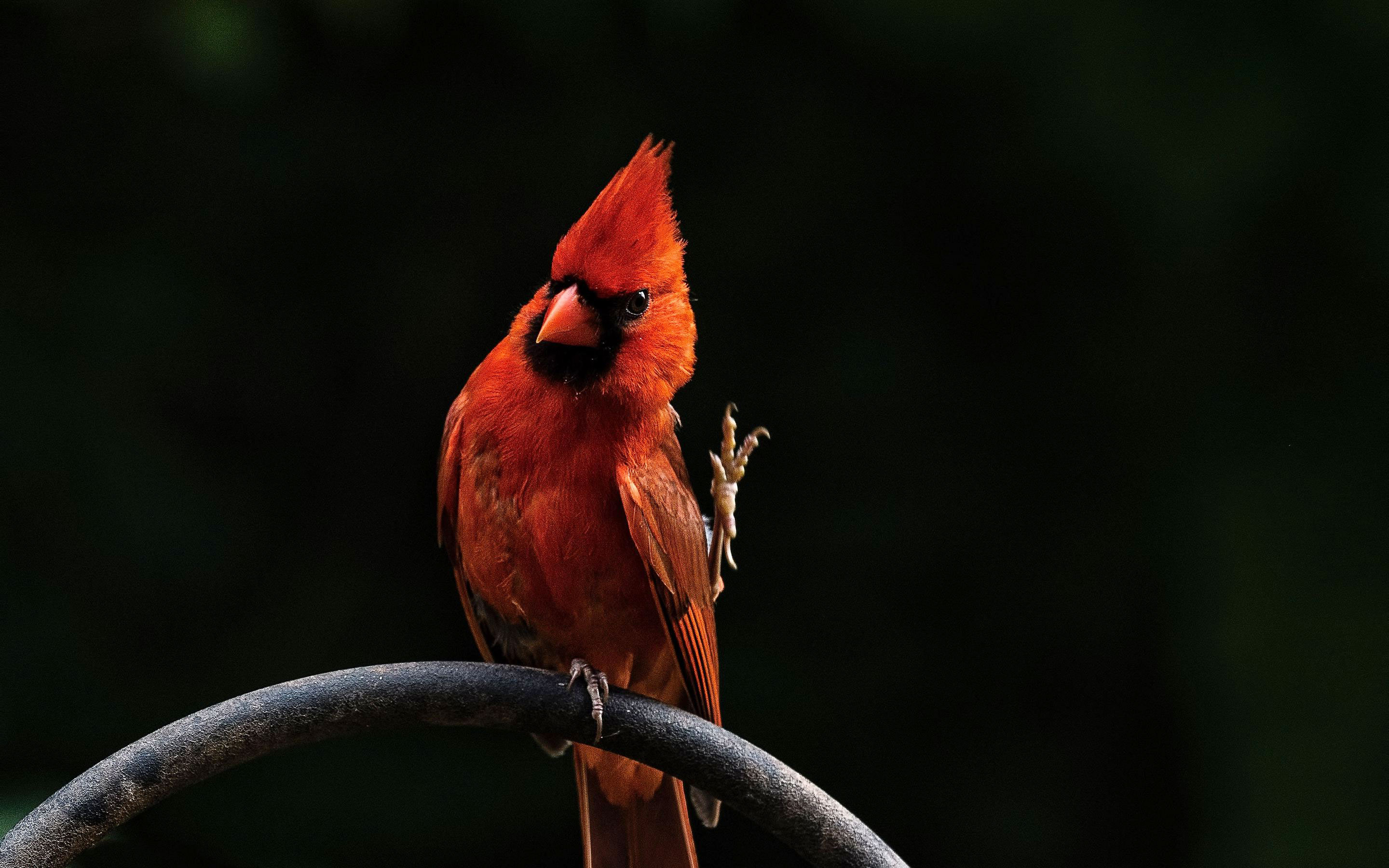 Display Resolution - HD Wallpaper 