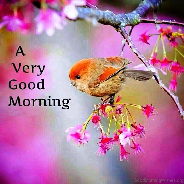 A Very Good Morning Pic - Very Good Morning Wishes - HD Wallpaper 