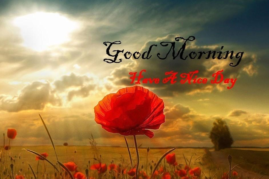 Good Morning Pics - Good Morning Wishes With Sun - HD Wallpaper 
