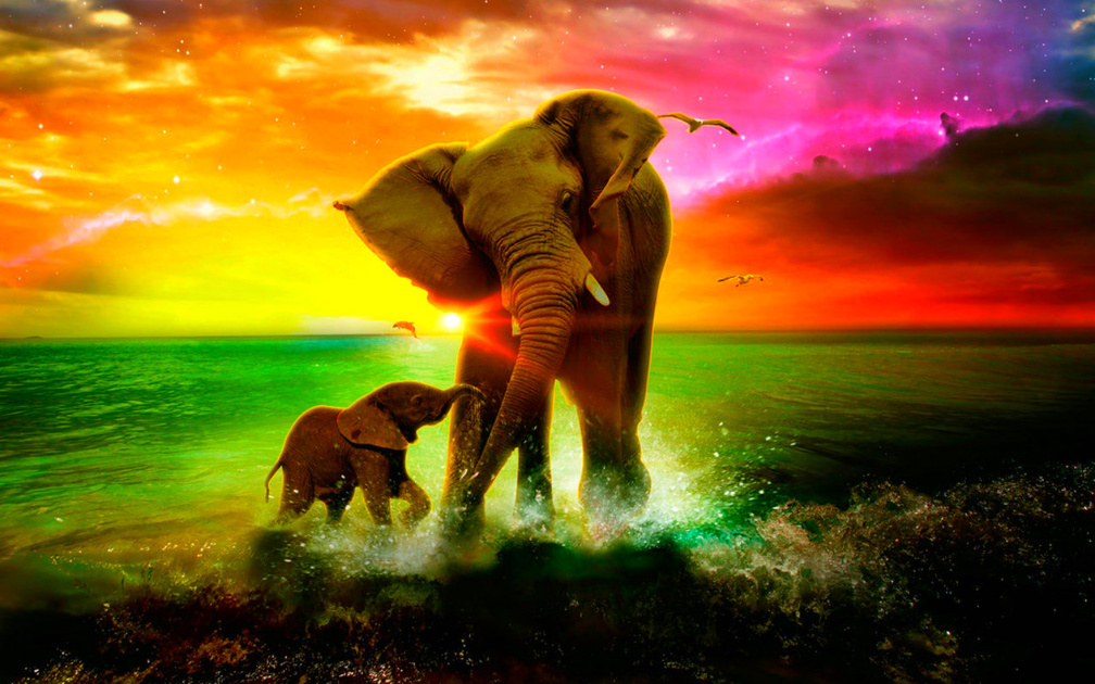 Mother And Baby Elephant Painting - HD Wallpaper 