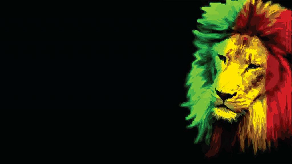 Lion Hd Wallpaper 320 - HD Wallpaper 