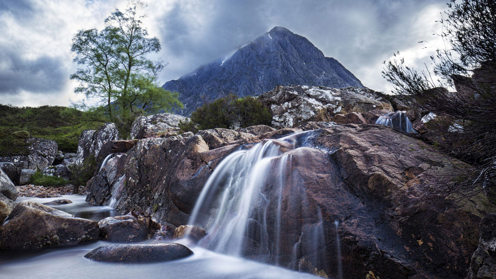 Mor Wallpaper - HD Wallpaper 