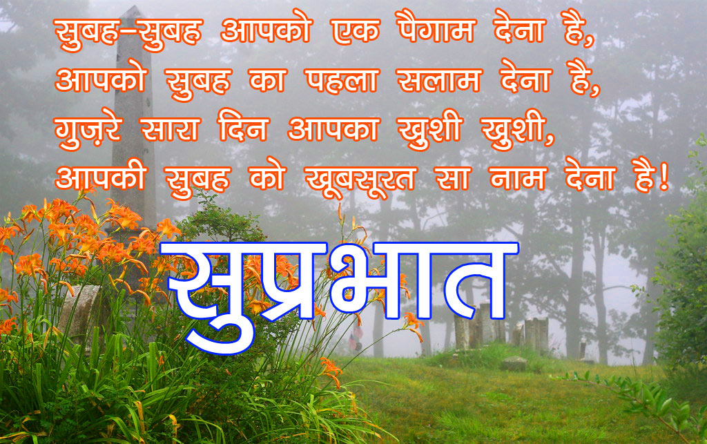 Happy Good Morning Wallpaper In Hindi Quotes  - Grass - HD Wallpaper 