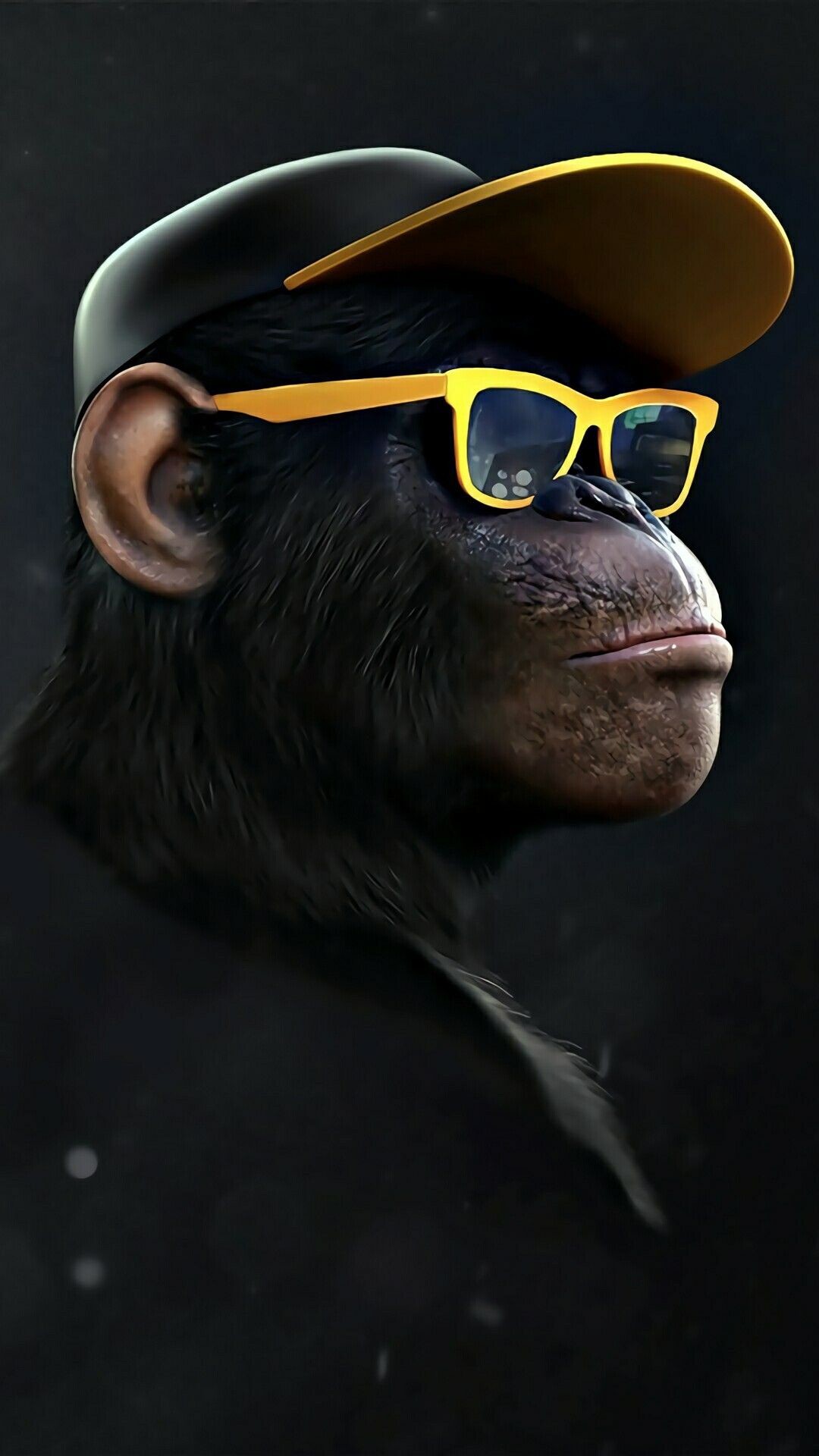 1080x1920, Funny Monkeys, Iphone Wallpapers, Phone - Fondos De Pantalla De Monos - HD Wallpaper 