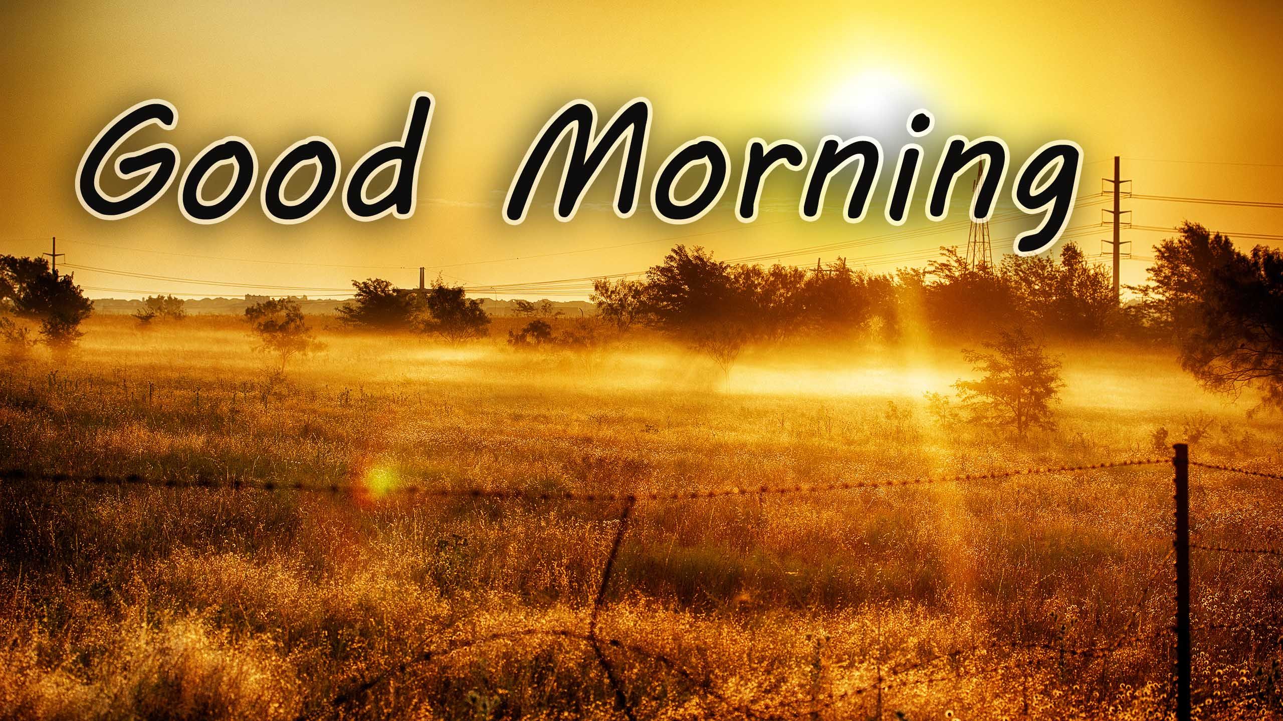 Best Good Morning Hd - HD Wallpaper 