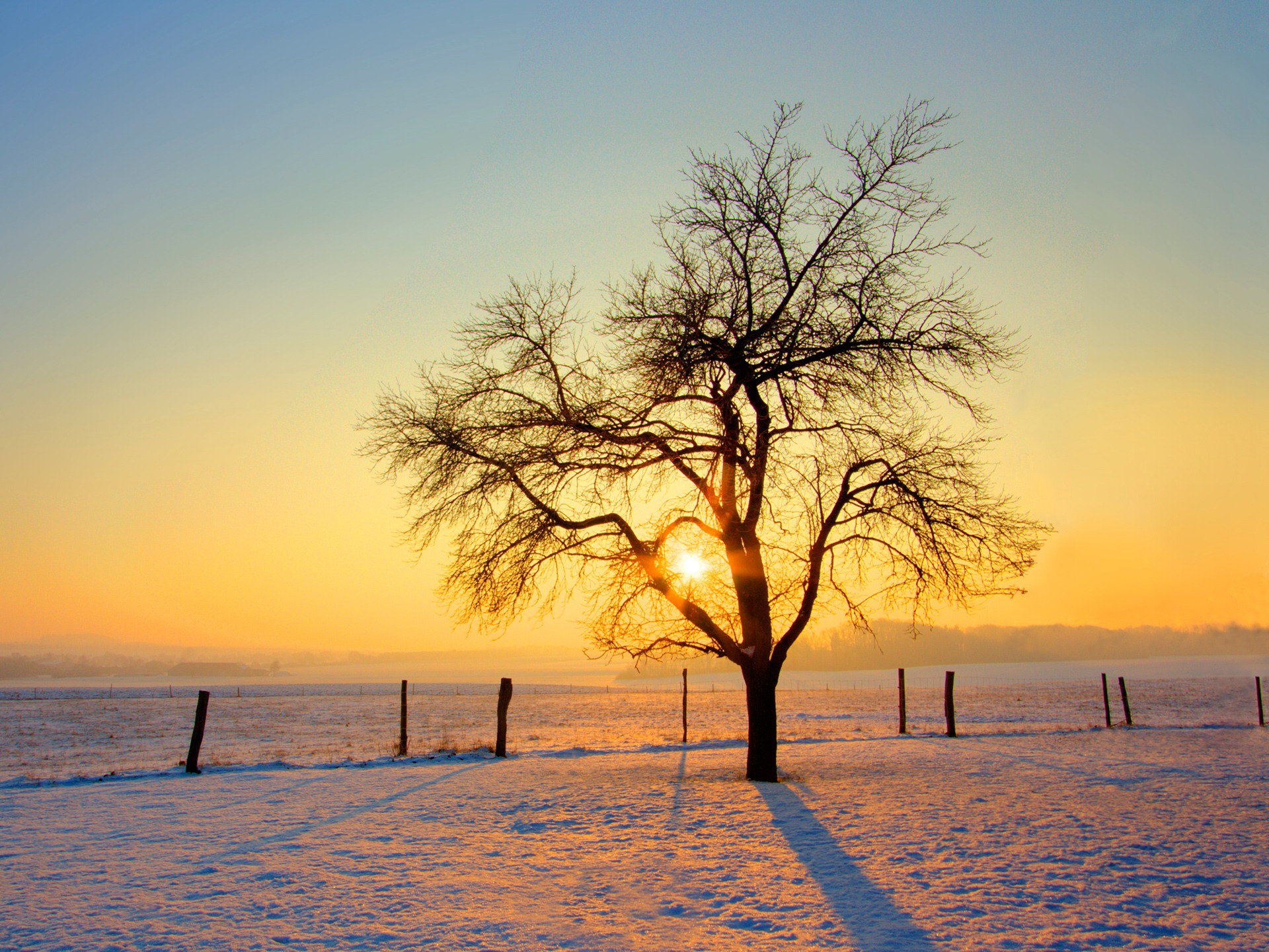 Morning - HD Wallpaper 
