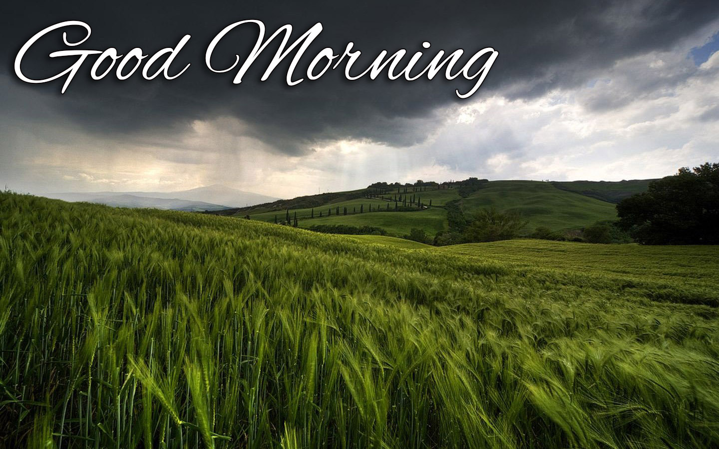 Rain Is Coming Good Morning Wallpaper - Rainy Season Good Morning Images Nature - HD Wallpaper 