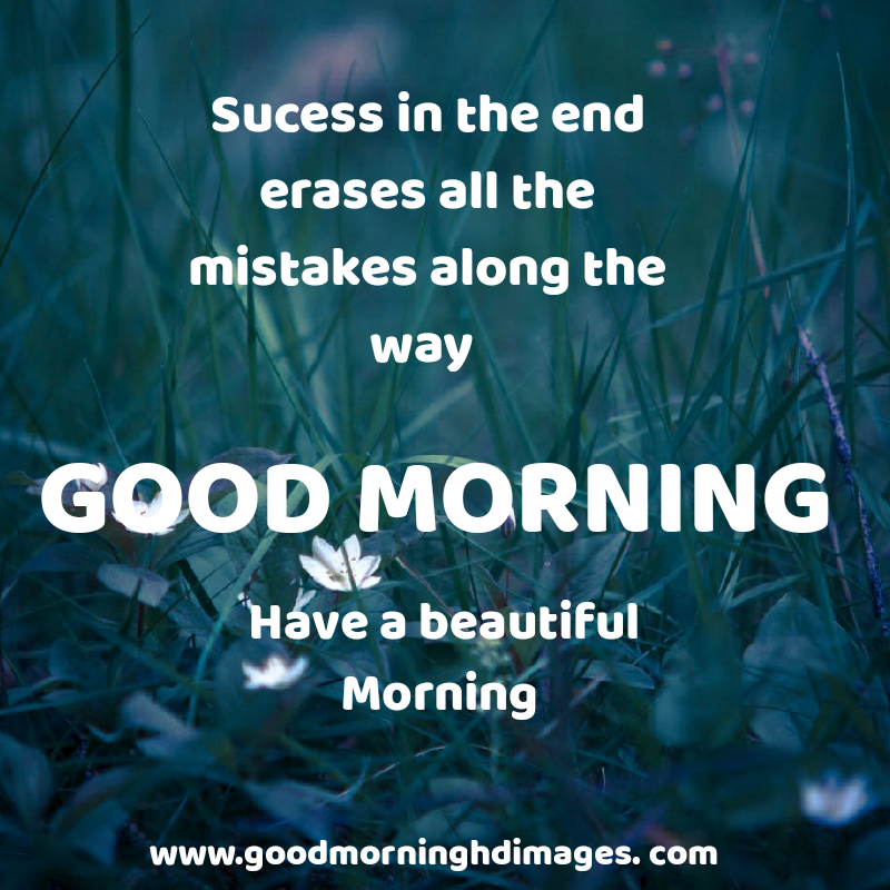 Good Morning Nature Images - Poster - HD Wallpaper 