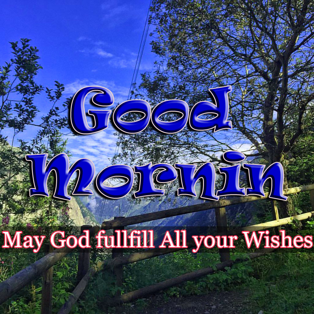Special good Morning Images Pics Free Download - Tree - HD Wallpaper 