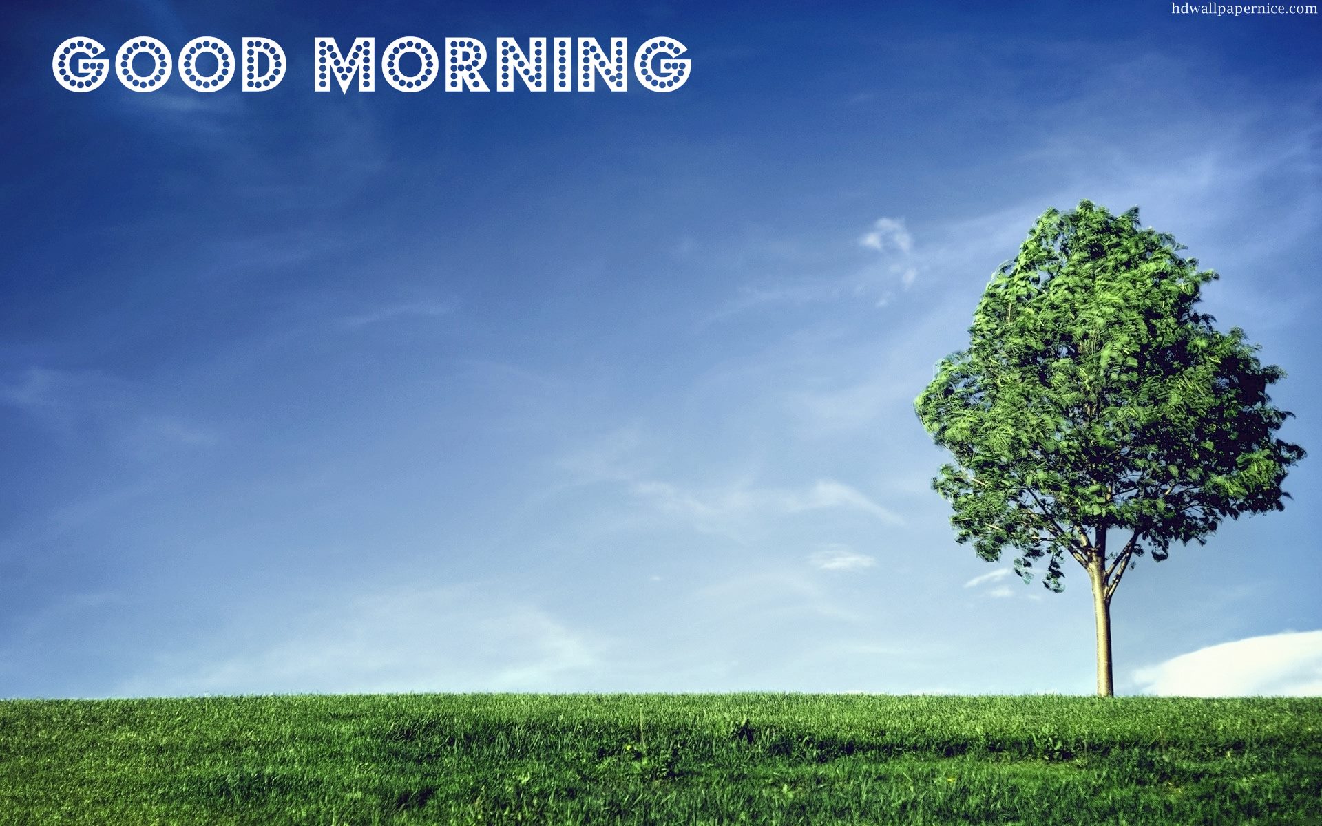 Being Happy Or Sad Gloomy Or Excited - HD Wallpaper 