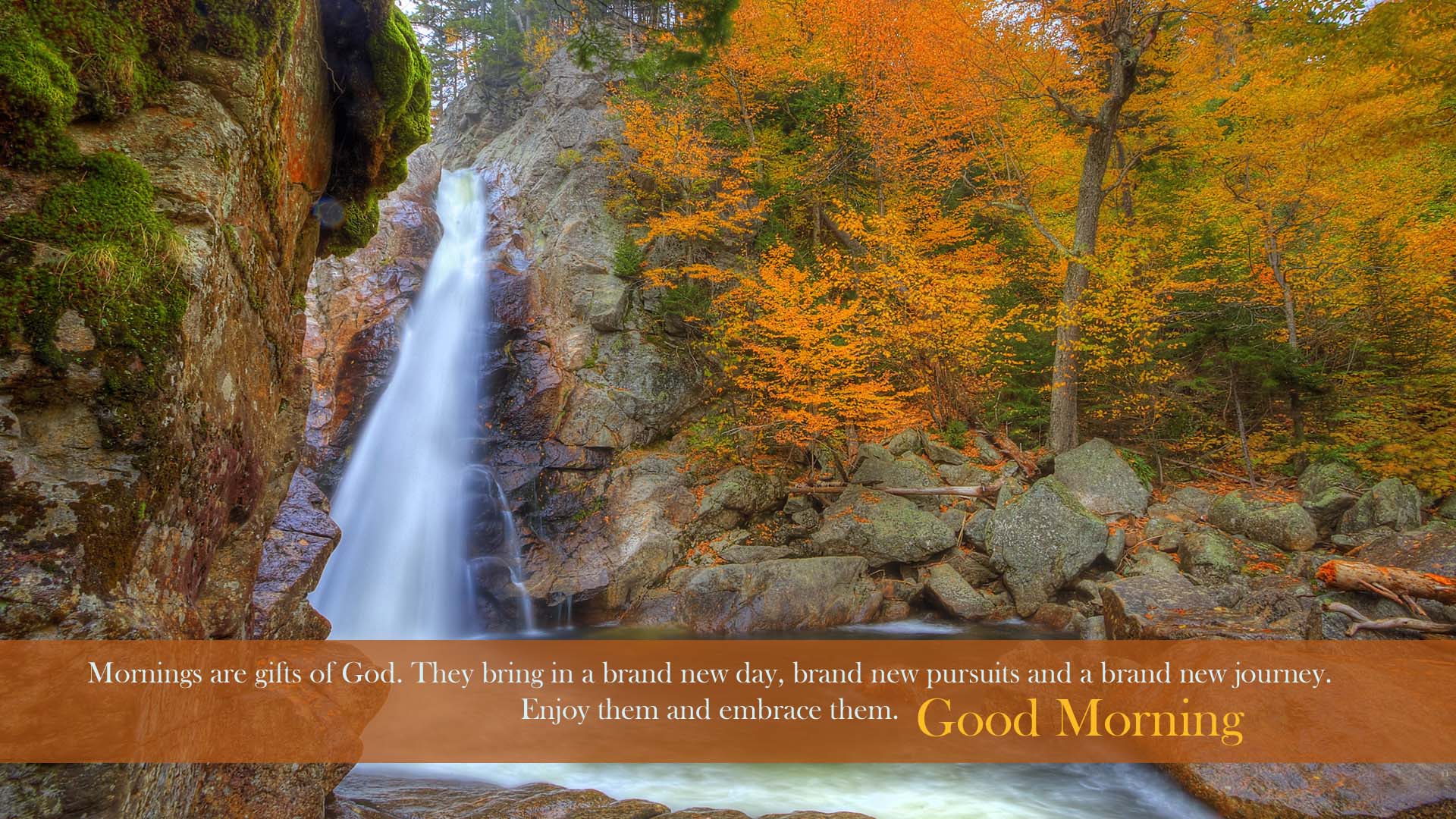 Good Morning Nature Wallpaper - HD Wallpaper 