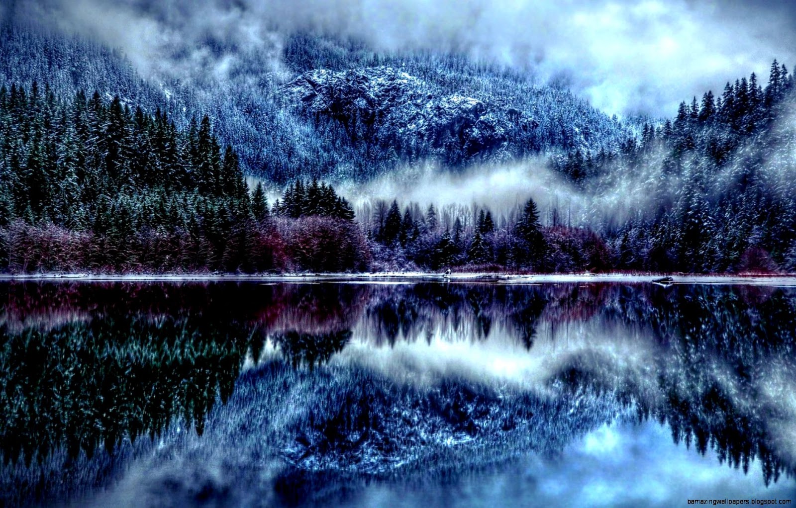 Winter Forest Desktop - Winter Forest Wallpaper Hd - HD Wallpaper 