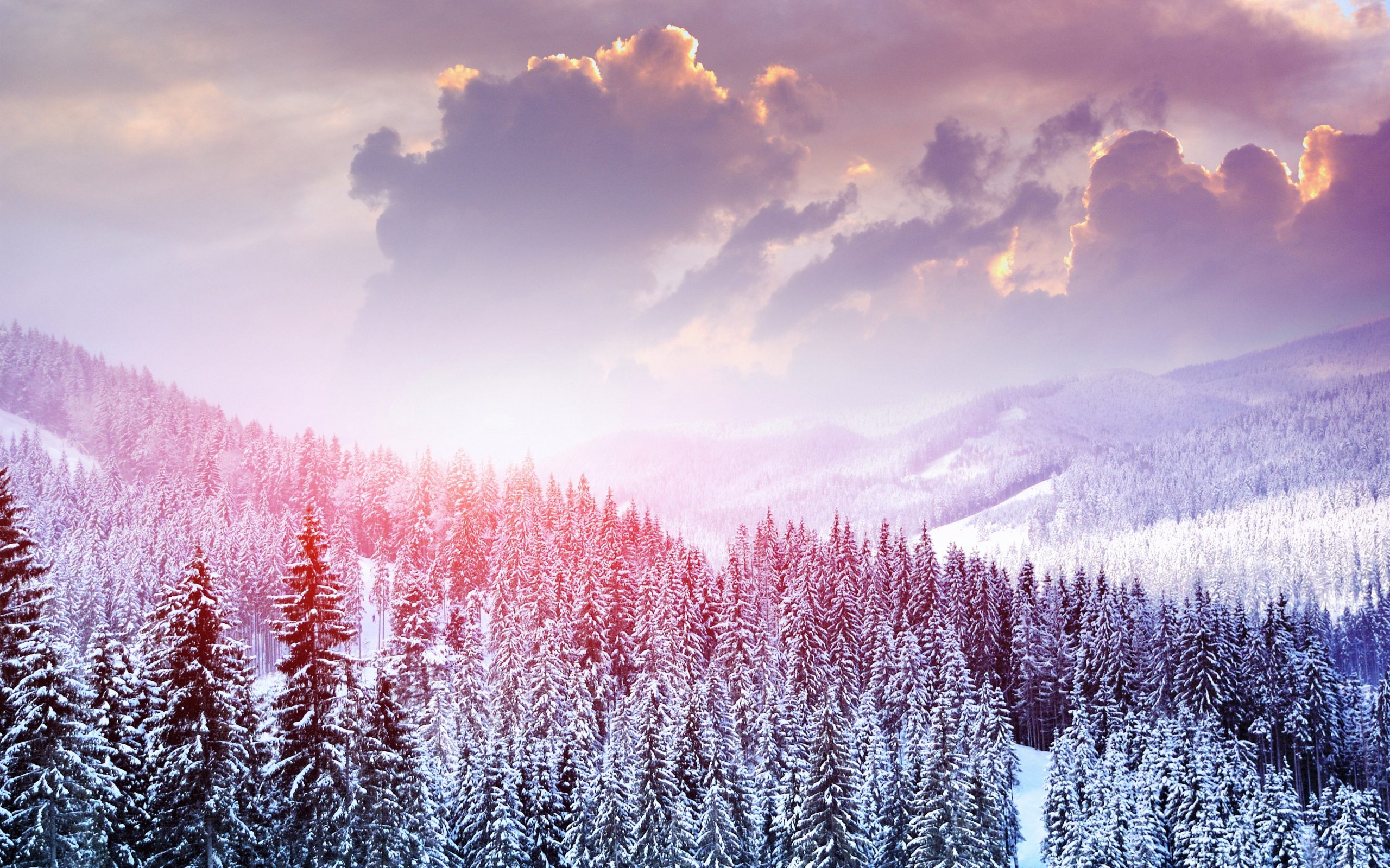 Featured image of post Winter Wallpapers For Pc These winter wallpapers for desktop will have you reaching for a hot drink and a scarf