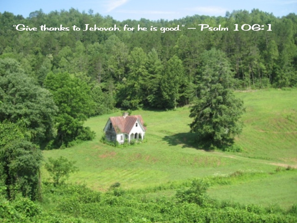 2015 Wallpaper For Jehovah’s Witnesses - Spruce - HD Wallpaper 