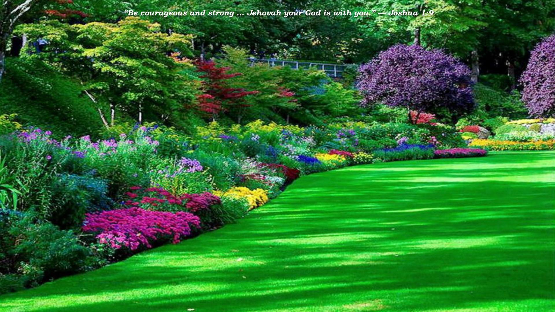 Jehovah Wallpaper - Bee Garden - HD Wallpaper 
