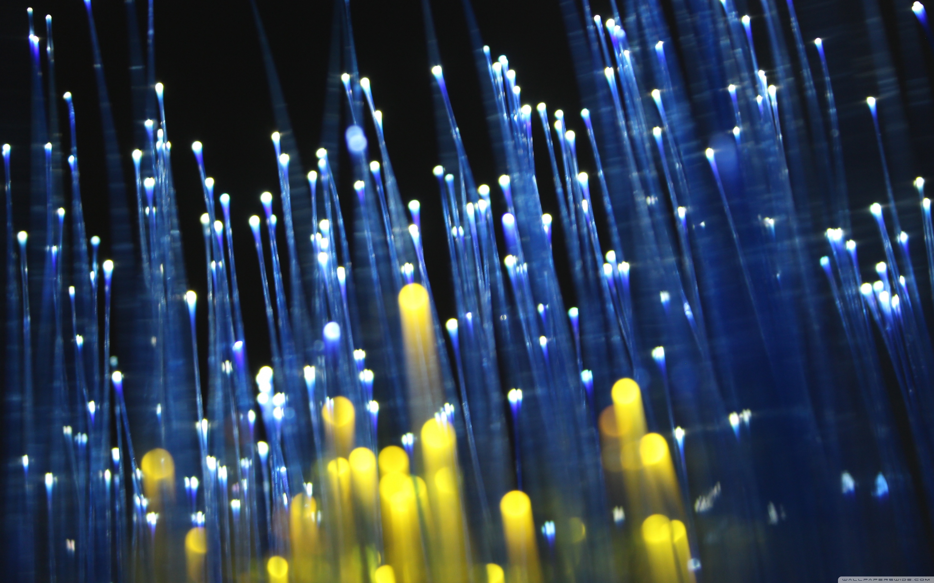 Fiber Optic Image 4k - HD Wallpaper 