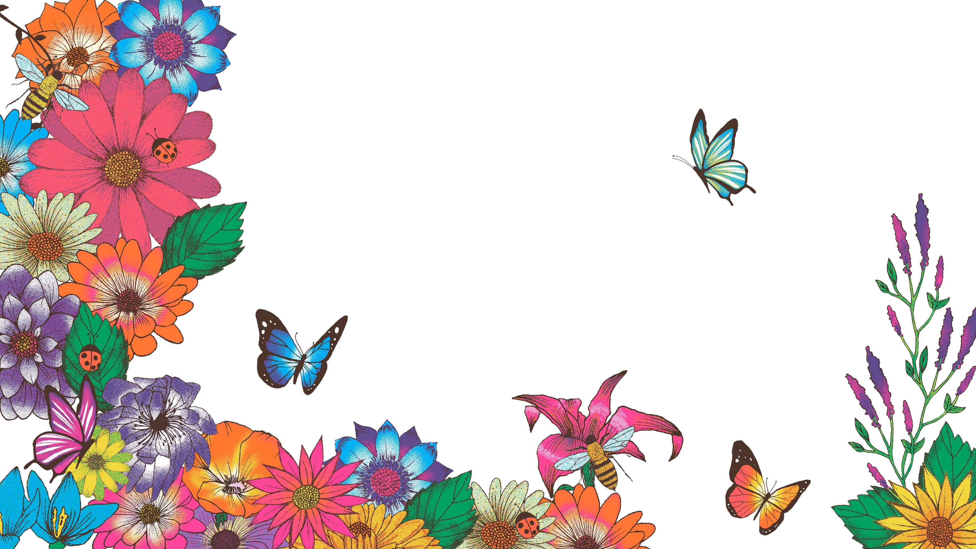 Swallowtail Butterfly - HD Wallpaper 