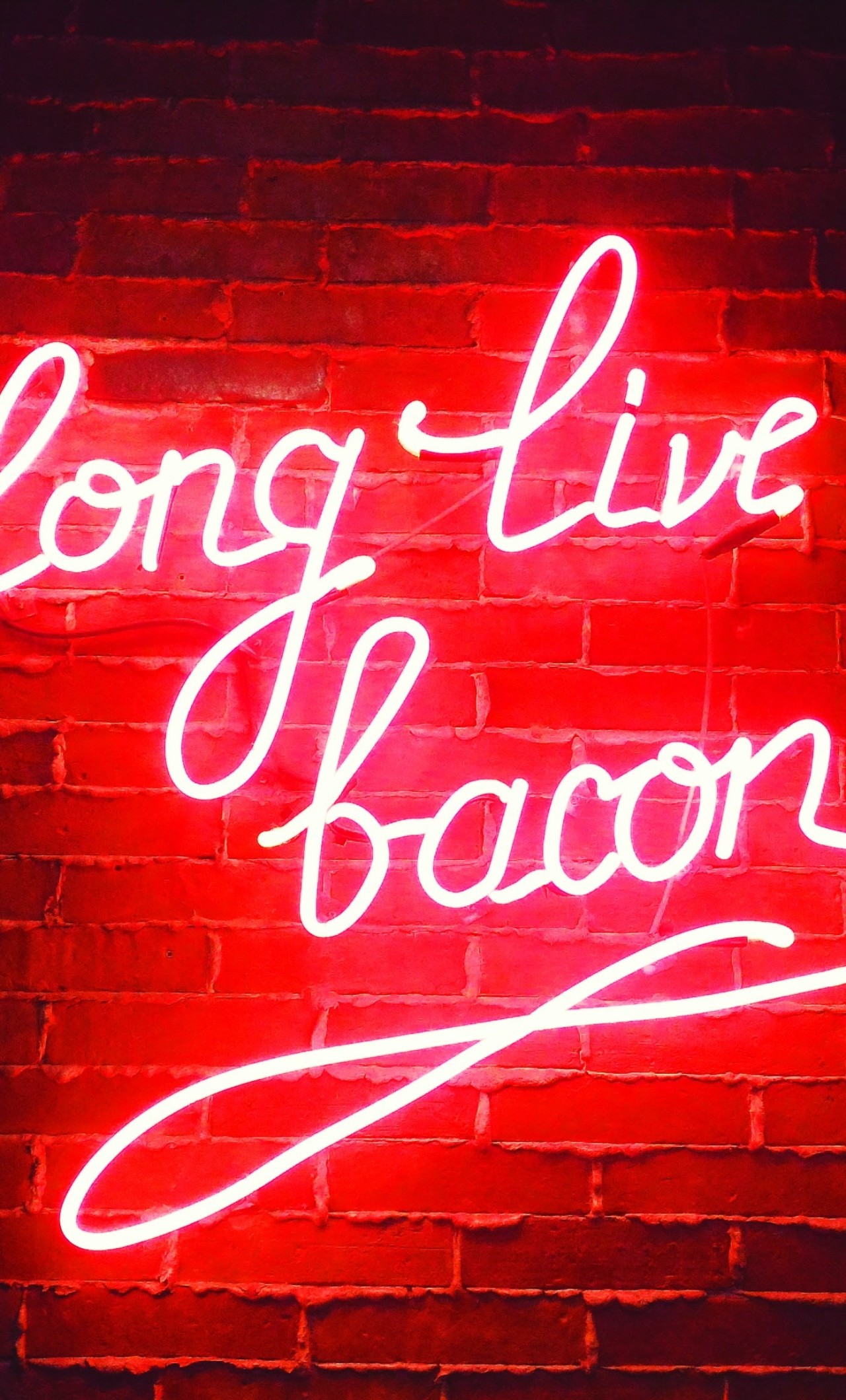 Long Live Bacon - HD Wallpaper 
