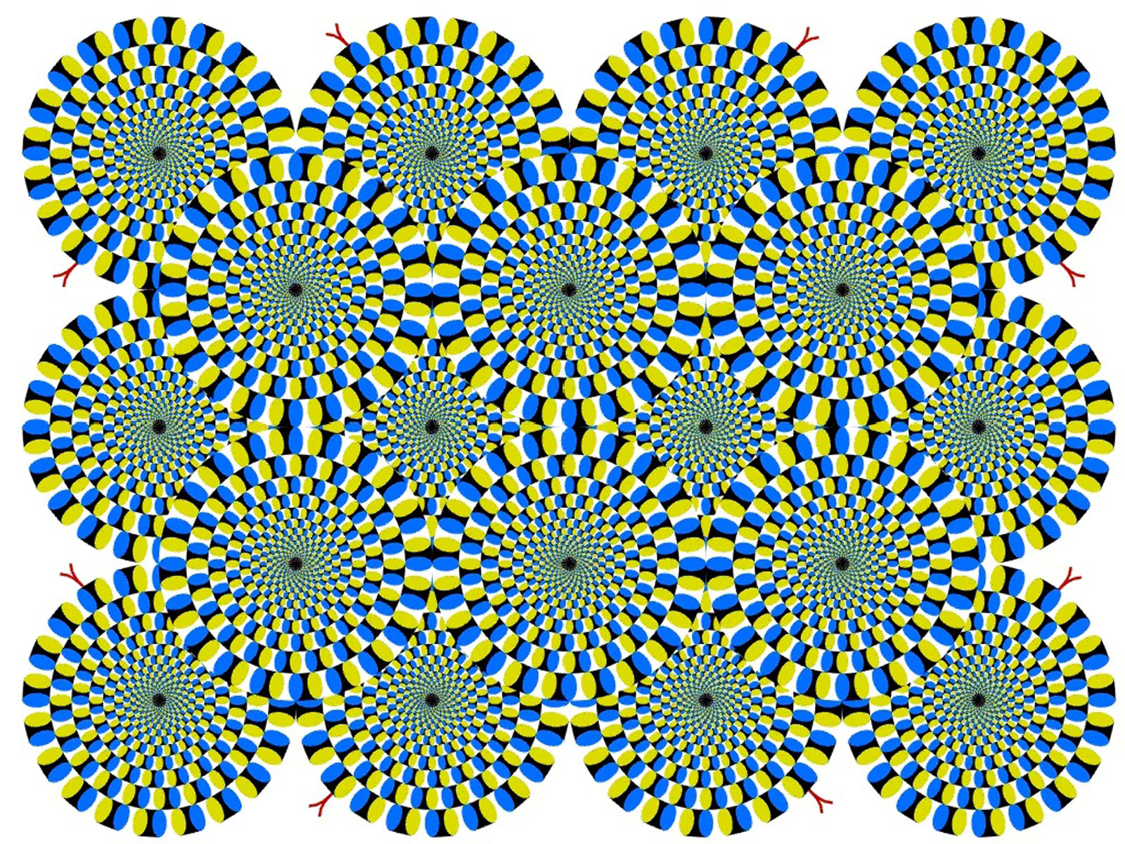 Optical Illusion - HD Wallpaper 