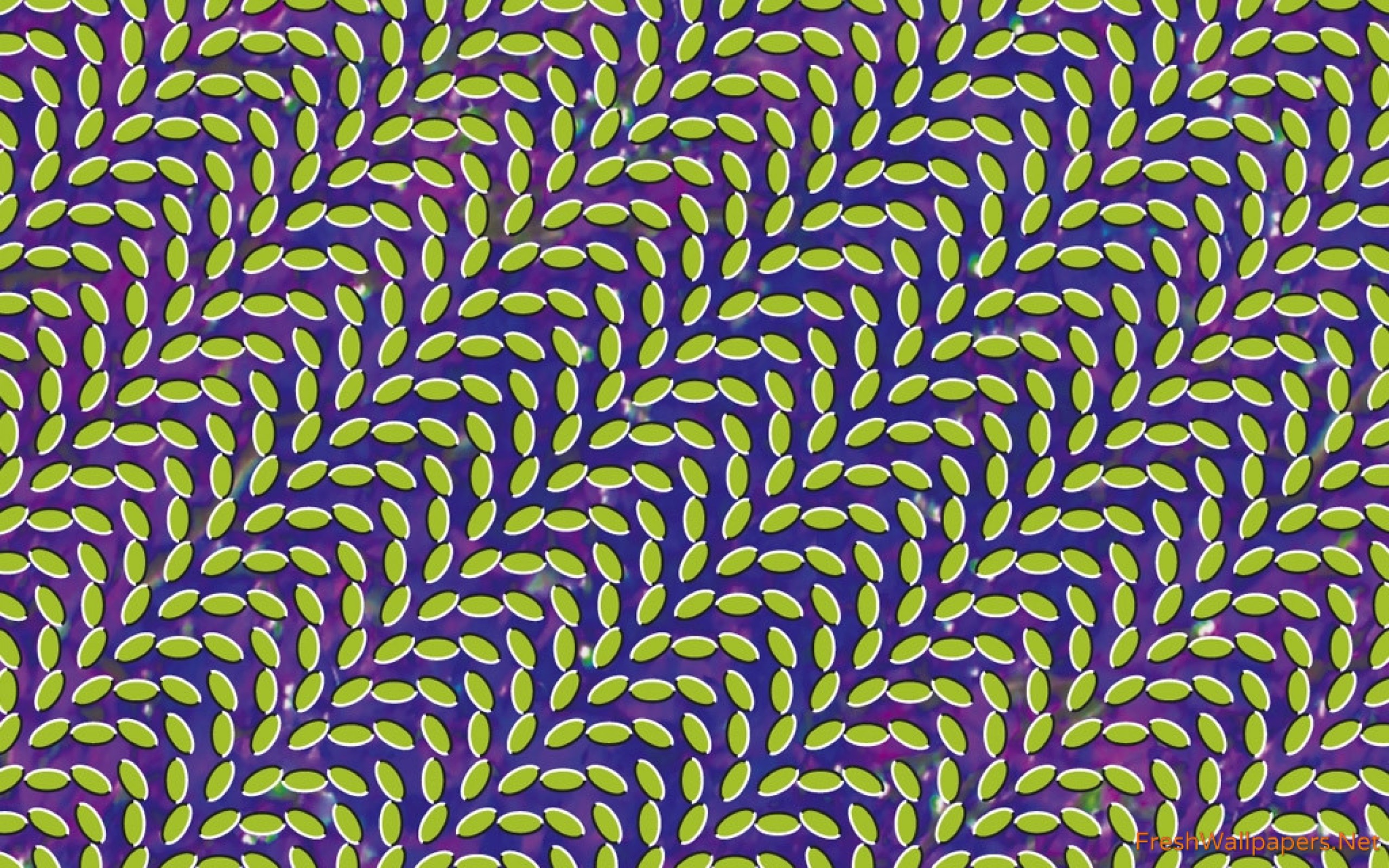 Merriweather Post Pavilion Animal Collective Review - HD Wallpaper 